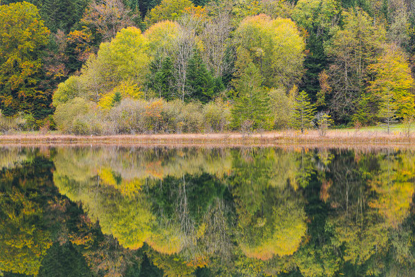 Herbst am See