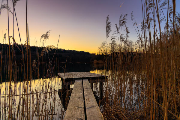 Hallwilersee