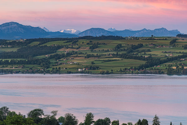 Sembachersee, Eich