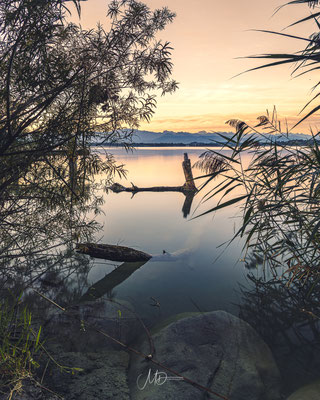 Pfäffikersee