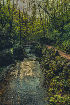 Im Wald