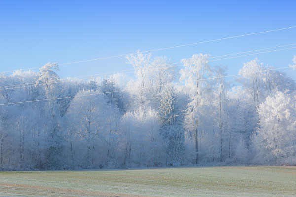 Winterreif, Bötzberg