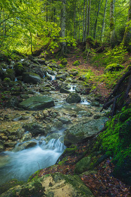 Wildbach Kaltbrunnen