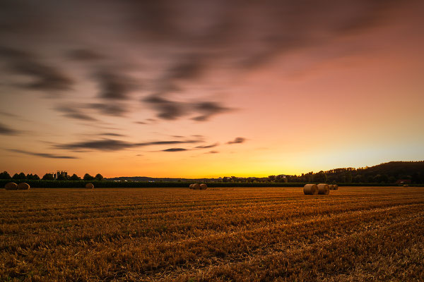 Feld im Abendlicht