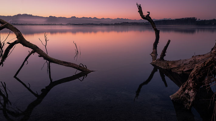 Am See Pfäffikon