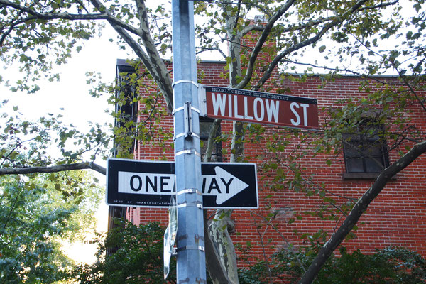 Willow Street, Truman Capote, Foto Helge Stroemer