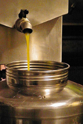 EVOO, olives press,  Agriturismo, Casafredda, Arezzo, Tuscany, Toscana