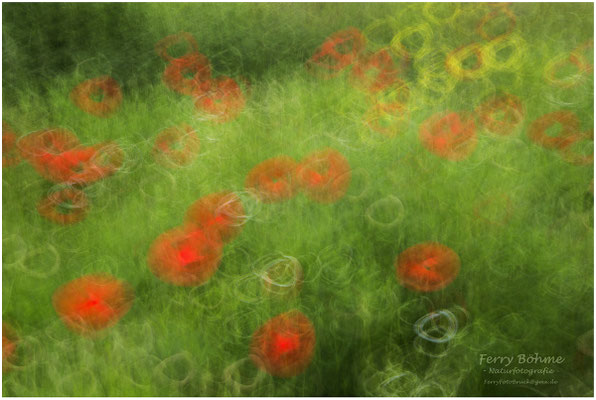 Hommage an Claude Monet