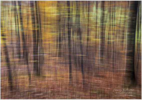 Pastellkreide auf Leinwand - Wischer im Herbstwald (ohne Photoshop!)