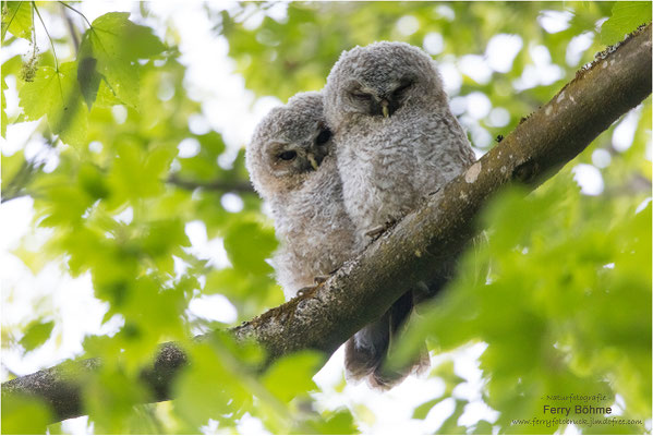"Hey, was guckst Du?"