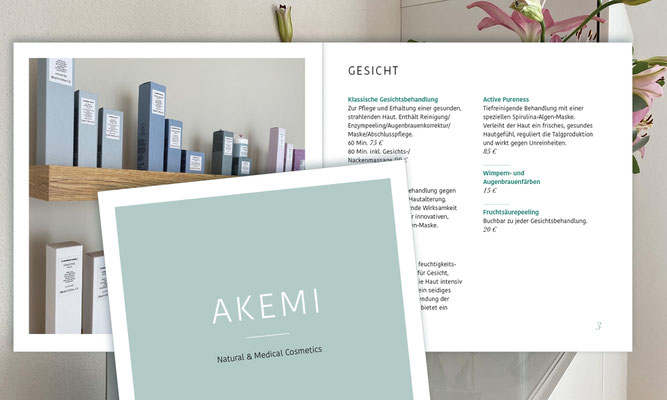 Logo, Visitenkarte, Flyer, Preisliste / AKEMI