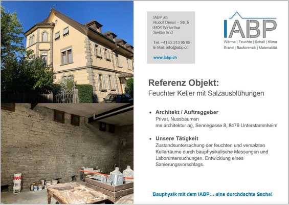Zustandsuntersuchung der feuchten und versalzten Kellerwände. 