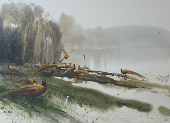 Danube Delta with pheasants, watercolour, 53x73cm
