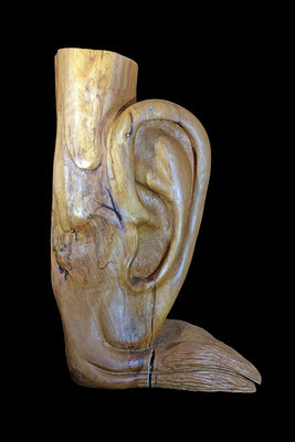 2011 Das Ohr, Skulptur aus Holz / sculpture, wood