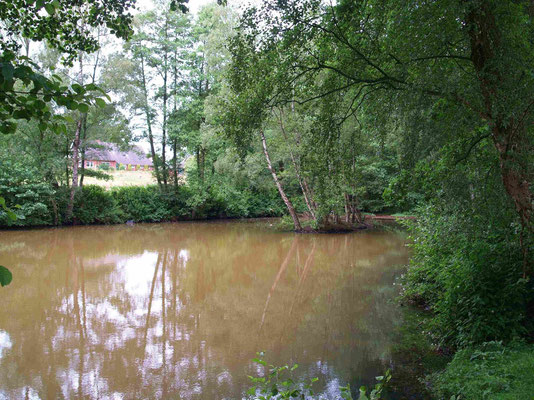 Teich am Linnenbach