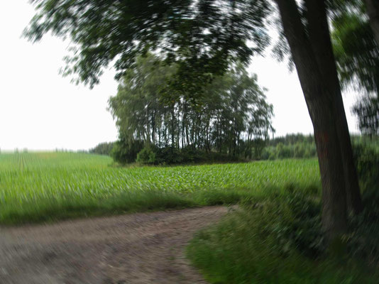 Grabhügel an der Straße "Zur Statt"