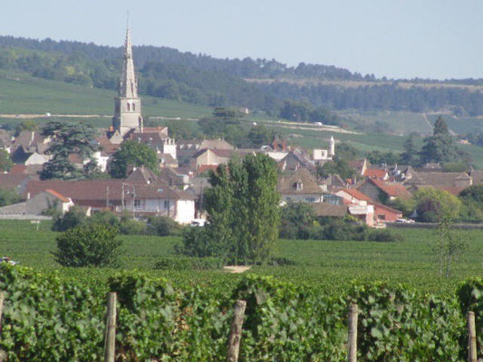 Meursault seen from Corvée des Vignes