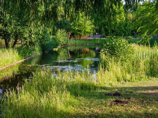 Loki-Schmidt-Garten (neuer Botanischer Garten)