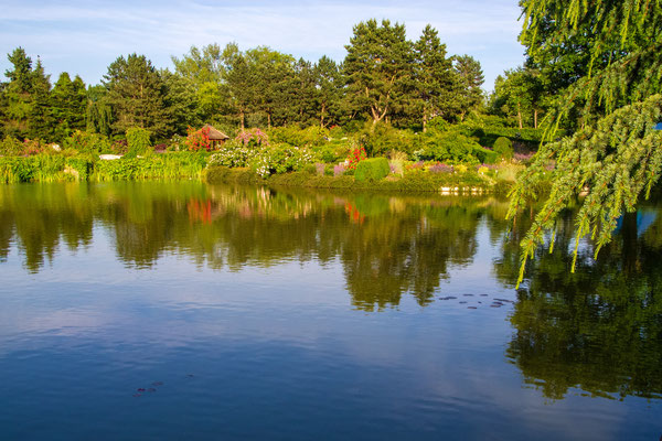 Loki-Schmidt-Garten (neuer Botanischer Garten)