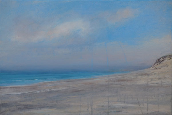 Skiveren strand acryl on canvas 40 cm / 60 cm 