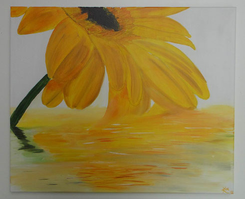 Gelbe Gerbera 60x50