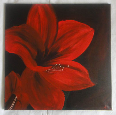 Rote Blüte 50x50