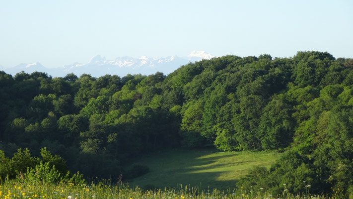 On devine la chaîne des Pyrénées au loin