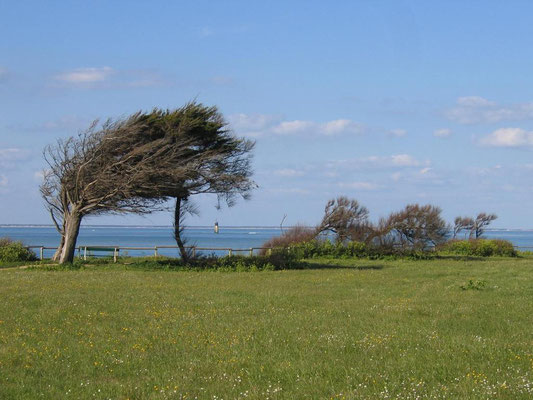 La balise d'Antioche