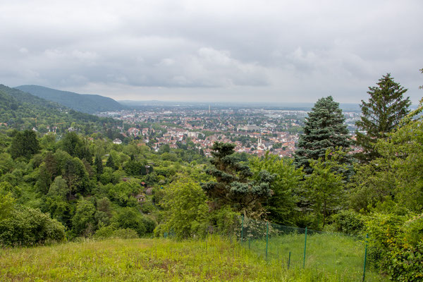 Ausblick auf Handschuhsheim (Foto: B. Budig)