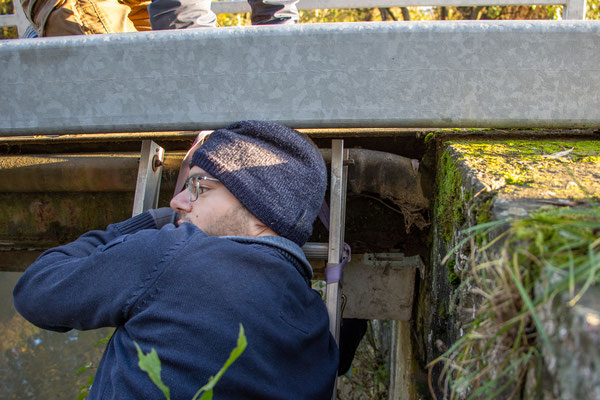 Griff in den Nistkasten (Foto: B. Budig)