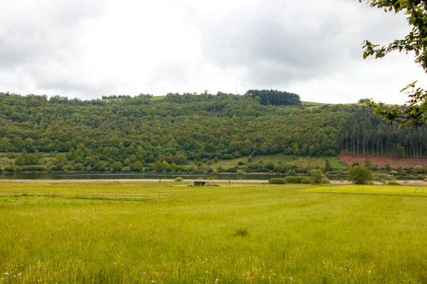 Blick auf Meerfelder Maar (Foto: B. Budig)