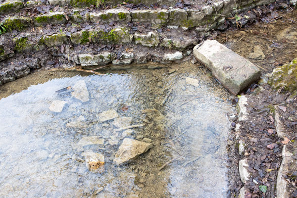 Ausgebaggertes Karlbrunnenbecken am 03.02.25 (Foto: B. Budig)