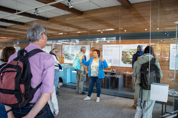 Führung im Federseemuseum (Foto: B. Budig)