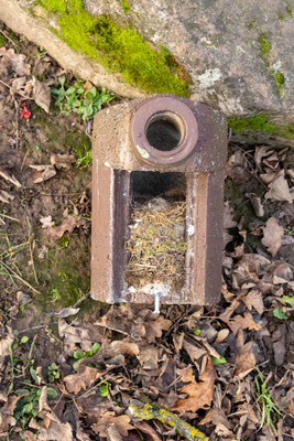 Mehrere Meisennester in einem Kasten (Foto: H. Budig)