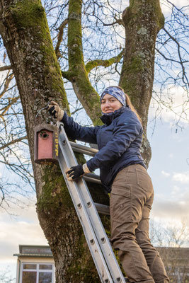 Alle Kästen im Schulhof werden konrolliert (Foto: B. Budig)
