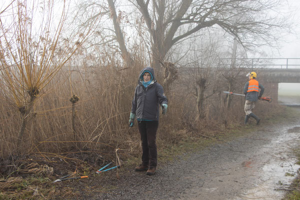 die ersten Weiden sind schon beschnitten (Foto: B. Budig)