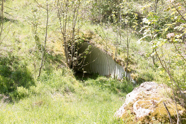 Tunnel unter der Panzerringstraße /Foto: B. Budig