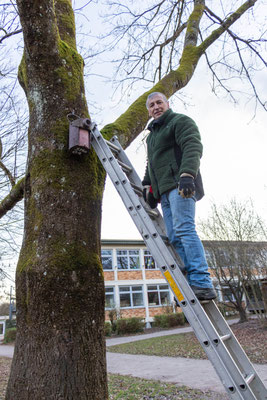 Nistkastenreinigung mit der Leiter (Foto: H. Budig)