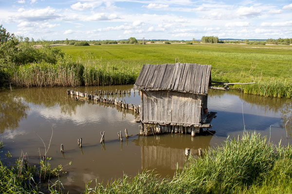 Nachbau der Fischfanganlage aus Oggelshausen (Foto: B. Budig)