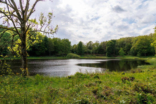 Blick auf den Windsborn-Kratersee (Foto: H. Budig)