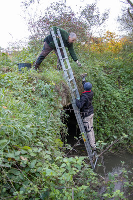 Abstieg mit der Leiter (Foto: H. Budig)