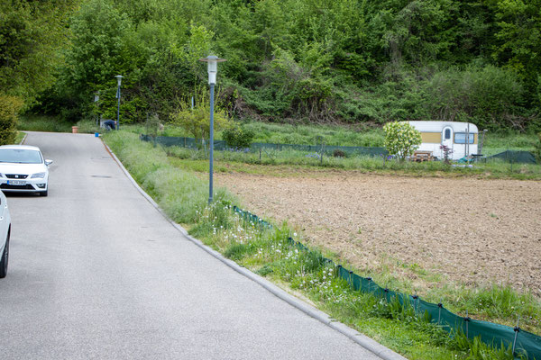 Der eingewachsene Zaun (Foto: B. Budig)