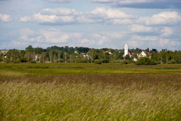 Blick auf Bad Buchau (Foto: B. Budig)