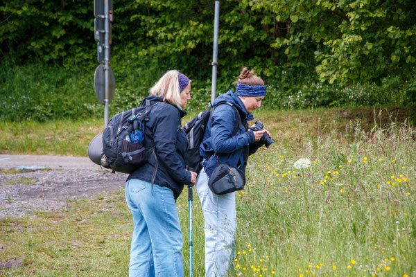 Am Wegesrand gibt es immer wieder was zu entdecken (Foto: B. Budig)