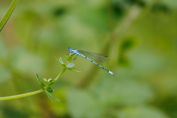 (Foto: B. Budig)