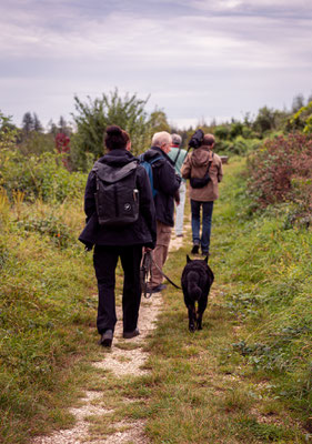 Auf dem Rückweg (Foto: Svenja Spannagel)