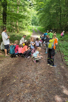 Auf der Pirsch im Wald (Foto: Christa Braun)