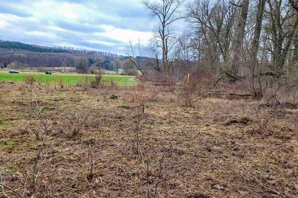 Endergebnis (Foto: M. Budig)