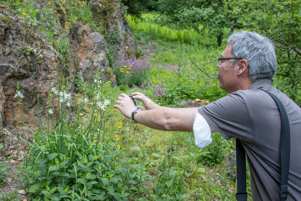 Was sagt Flora incognita dazu? (Foto: B. Budig)