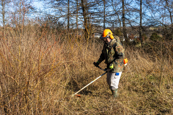 Mähen im hinteren Teil der Wiese (Foto: B. Budig)